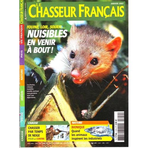 Le Chasseur Fran ais N 1319 Fouine loir souris Nuisibles