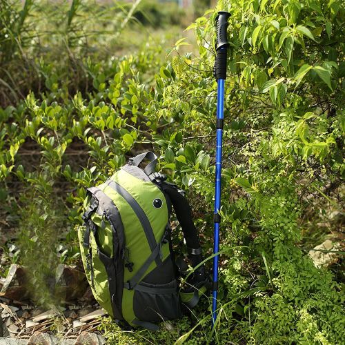 Batons De Randonnee Pliables Pour Personnes Agees (Bleus)