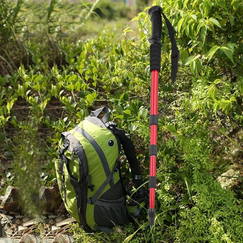 Batons De Randonnee Pliables Pour Personnes Agees (Rouges)