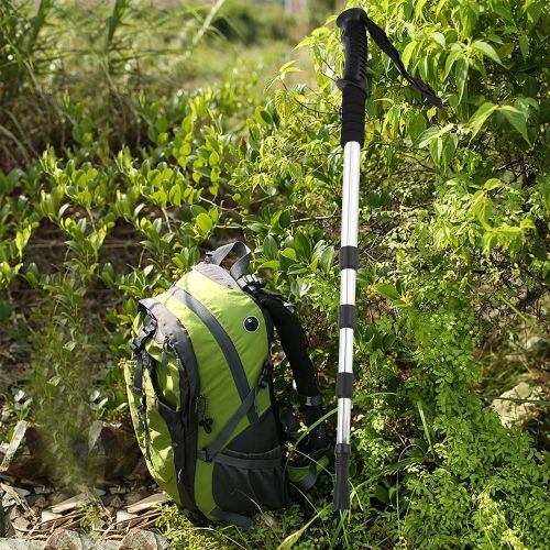 Batons De Randonnee Pliables Pour Personnes Agees (Blancs)