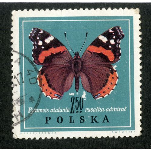 Timbre Oblitéré Polska, Pyrameis Atalanta, Rusalka Admiral, 2.50 Zl