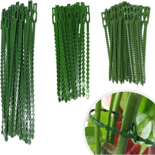 Lot de 160 attaches de jardinage réglables, attaches et supports pour plantes, pour soutenir les plantes et les arbustes, attaches torsadées flexibles en plastique (3 tailles)