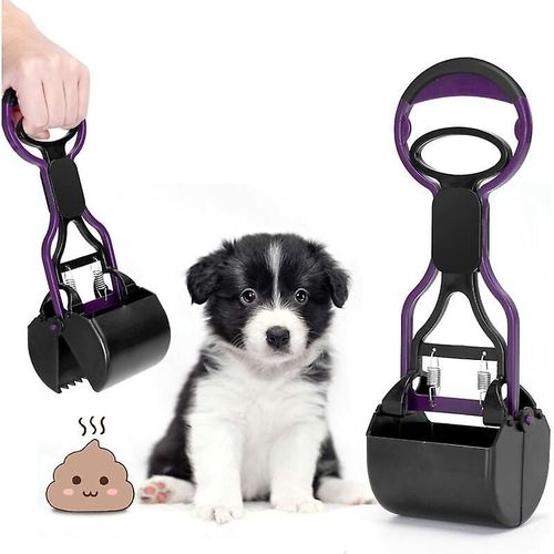 Pelle À Crottes Pour Animaux De Compagnie - M