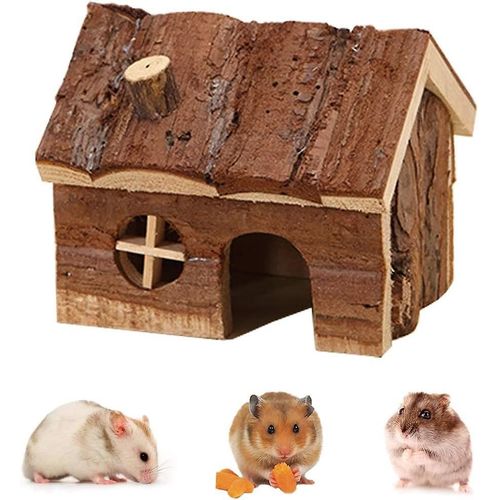 Cabane Et Cheminée : Un Petit Animal Caché Dans Une Cage De Hamster Nain