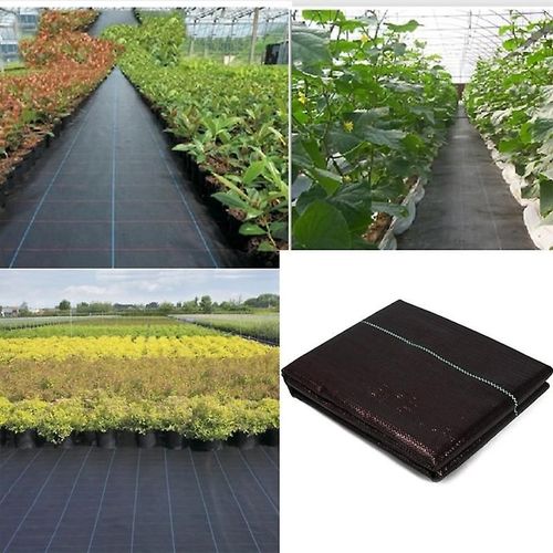 Bâche De Protection Pour Sols Et Jardins (1 M X 10 M) Toile Géotextile Anti-Mauvaises Herbes Anti-Uv Robuste Perméable