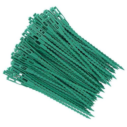 Lot de 100 tuteurs pour tomates, attaches réglables et serre-câbles en plastique pour le jardinage, 23 cm