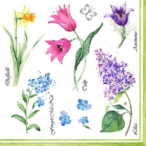 Kal-Tiflair Pj389009 Serviettes De Table Épaisses Et Résistantes Motif Jardin De Fleurs 3 Plis Décorations Printanières Multicolore