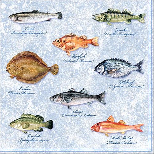 Kal-Serviette Motif: Poissons Fishes Maritim 20 Serviettes Par Paquet