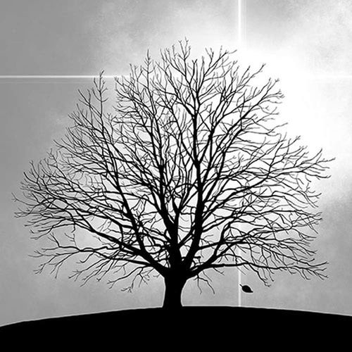 Kal-Serviette Déjeuner - Mourning Arbre - Trauerbaum - Trauerserviette 33x33cm 20stk / Emballage