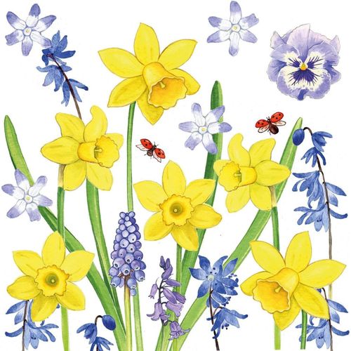 Kal-Serviette « Bouquet De Narcisse » 20 Pièces