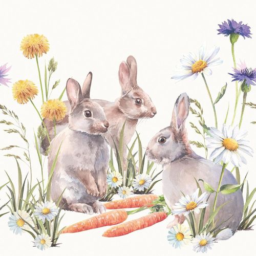 Kal-Serviette « Carottes Gourmandes »