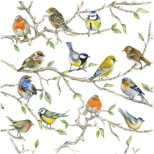 Kal-Serviettes Oiseaux Rencontre 33cm