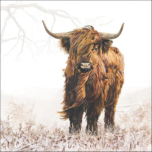 Kal-Serviette « Taureau Highland » 20 Pc.