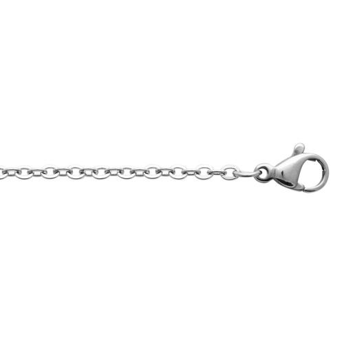 Chaîne Brillaxis Acier Argenté 50cm