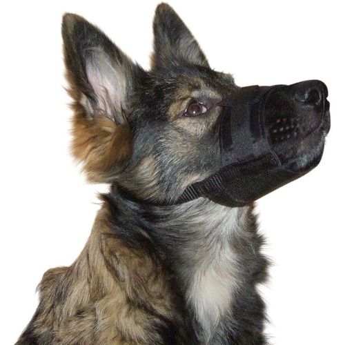 Kal-Kerbl Chien Muselière Nylon 18-24 Cm Noir