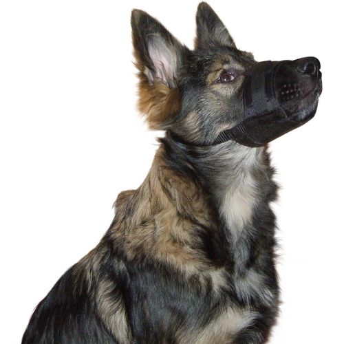 Kal-Kerbl Chien Muselière Nylon 22-30 Cm Noir