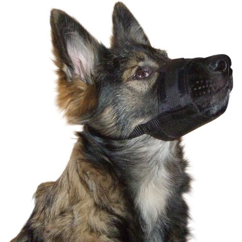 Kal-Kerbl Chien Muselière Nylon 20-26 Cm Noir