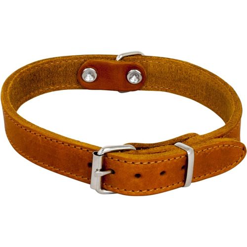 Kal-Collier Pour Chien Cuir Gras - Matière Solide, Durable, Facile À Entretenir, Toucher Doux Et Agréable - Look Moderne - Couleur Cognac, Taille 10 Mm X 25 Cm
