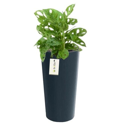 Pot De Fleurs Rond Ø 20 Cm H 38.5 Cm Anthracite Élégant Haut Rayé