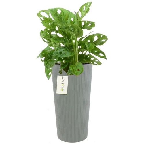 Pot De Fleurs Rond Ø 20 Cm H 38.5 Cm Gris Élégant Haut Rayé