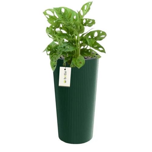 Pot De Fleurs Rond Ø 25 Cm H 48 Cm Vert Élégant À Rayures Hautes