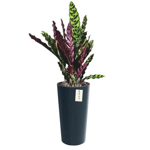 Pot De Fleurs Rond Ø 30 Cm H 57.5 Cm Anthracite Élégant Haut Rayé