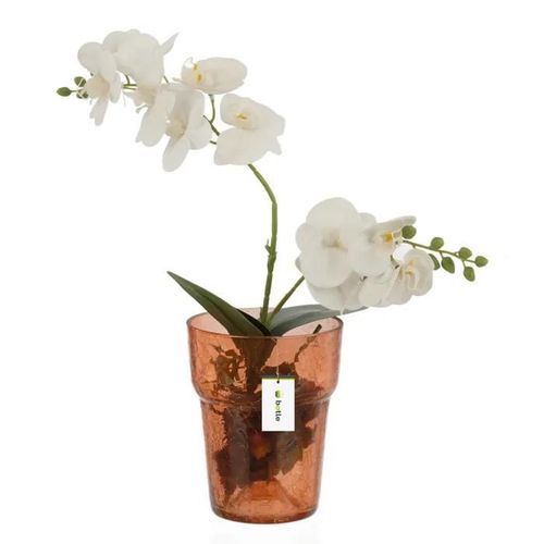 Pot À Orchidée En Verre D 15.5cm H 18cm Orange Toile D'araignée Large