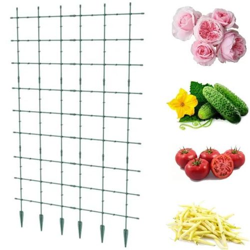 Support De Jardin Pergola Treillis Échelle Plantes Grimpantes Fleurs Plantes 120x180 Cm