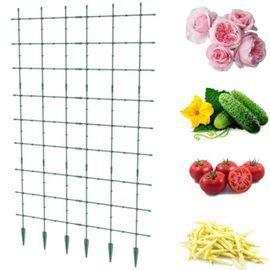 Support de jardin pergola treillis échelle plantes grimpantes fleurs plantes 120x180 cm