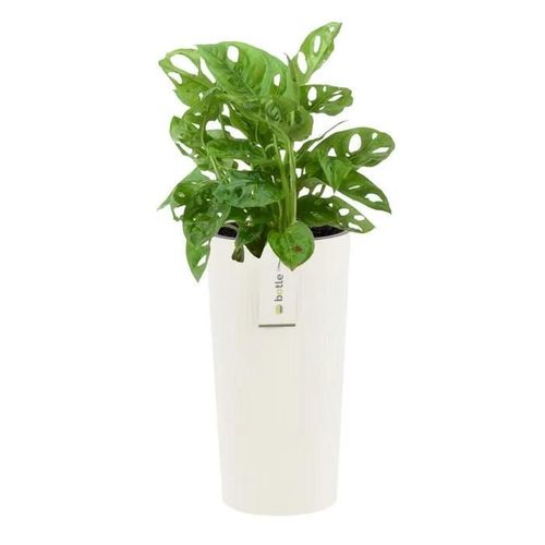 Pot De Fleurs Rond Ø 20 Cm H 38.5 Cm Blanc Élégant À Haute Rayure