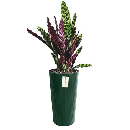 Pot De Fleurs Rond Ø 30 Cm H 57.5 Cm Vert Élégant À Rayures Hautes