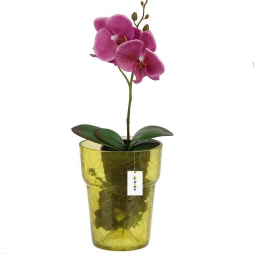 Pot À Orchidée En Verre D 15.5cm H 18cm Jaune Toile D'araignée Large