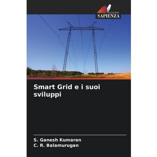 Smart Grid E I Suoi Sviluppi