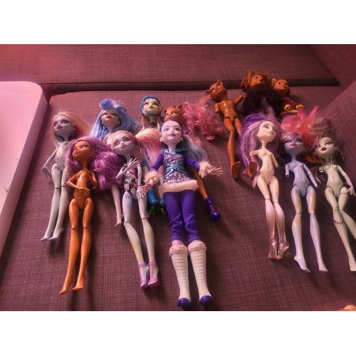 13 poupée monster high