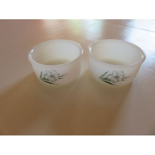 Lot De 2 Ramequins Arcopal "Narcisses" - Vintage