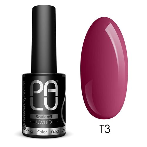 Palu Hybrid Varnish Fall In Toronto T3/11g 