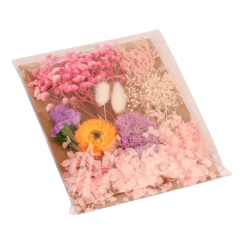 Fleurs sechees, materiaux naturels, styles varies, couleurs vives, bouquet seche polyvalent pour marque-page, specimen, bricolage