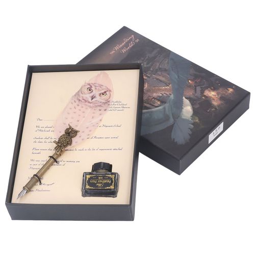 Ensemble de stylos a plume en acier inoxydable, style hibou retro en relief, corps en metal, stylo plume texture exquis, kit cadeau