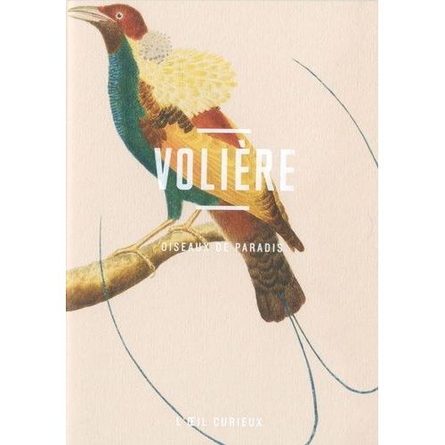Volière - Oiseaux De Paradis