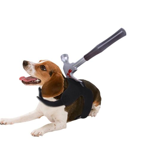 Gilet Coupe-Sang Pour Chien D'halloween, Costume Effrayant, Realiste, Accessoires De Cosplay Pour Animaux De Compagnie, Accessoire Delicat