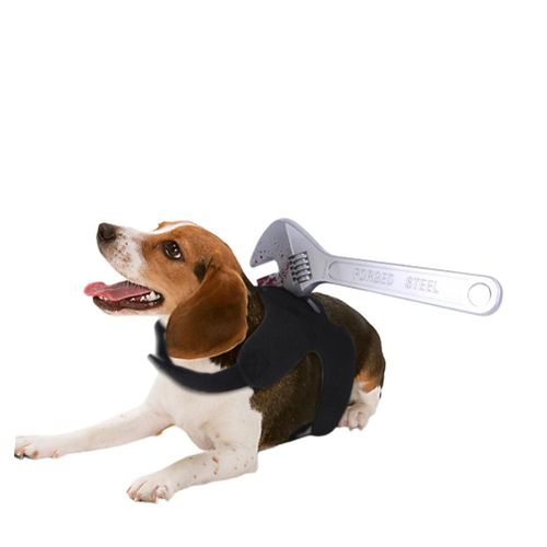 Gilet Coupe-Sang Pour Chien D'halloween, Costume Effrayant, Realiste, Accessoires De Cosplay Pour Animaux De Compagnie, Accessoire Delicat