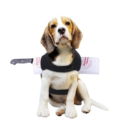 Gilet Coupe-Sang Pour Chien D'halloween, Costume Effrayant, Realiste, Accessoires De Cosplay Pour Animaux De Compagnie, Accessoire Delicat