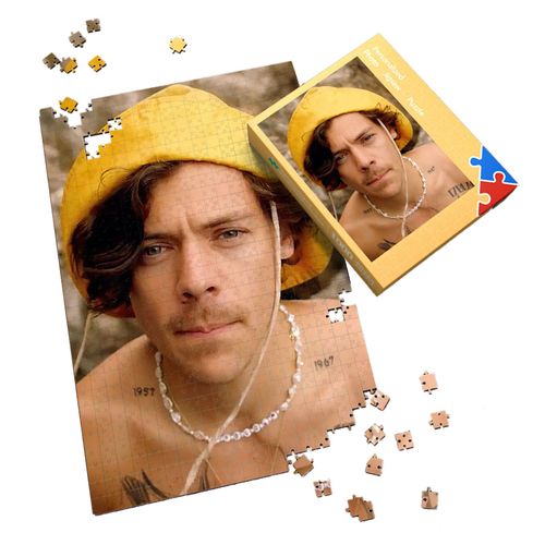 Puzzle photo de personnages, motifs clairs et vifs, pour enfants d'age prescolaire et tout-petits, cadeaux [CPT352X06 4] 520 x 380 mm / 500 pieces