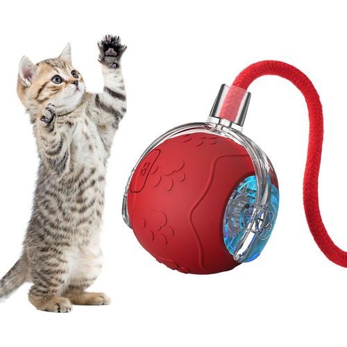 KAL-Jouet Interactif Pour Chat, Jouet Interactif Automatique Avec Corde, Accessoires Pour Chats D'Intérieur, Chats Ennuyeux, Chiens De Petite Et Moyenne Taille