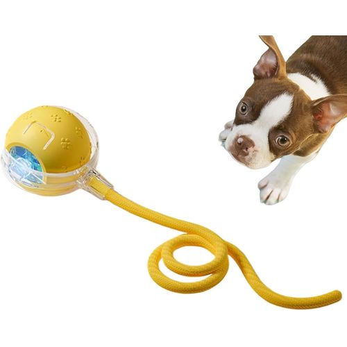KAL-Jouet Automatique Pour Chat - Jouet Interactif Pour Chaton - Balle Pour Chat - 3 Modes - Amusant Pour Toutes Les Races De Chat