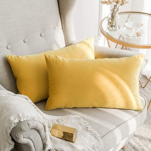 Eryi-Lot De 2 Housses De Coussins En Velours Décoratif Canapé Taie D'oreiller Super Lisse Doux Decoration Maison Salon Chambre Pour Canapé 2 Pièces 30x50cm Jaune