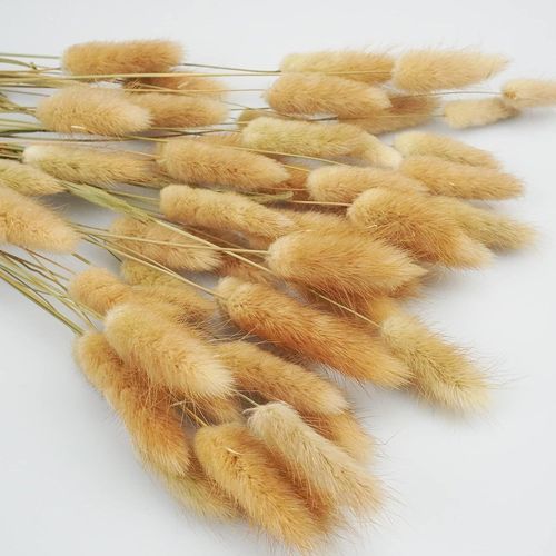 ERYI-60 Pièces 43Cm Fleurs Séchées, Fleurs De Queue De Lapin Séchées, Fleurs Sechees Naturelles Decoration Boheme Pour Cheminée Cuisine Table Séjour Chambre À Coucher(Couleur Naturelle)
