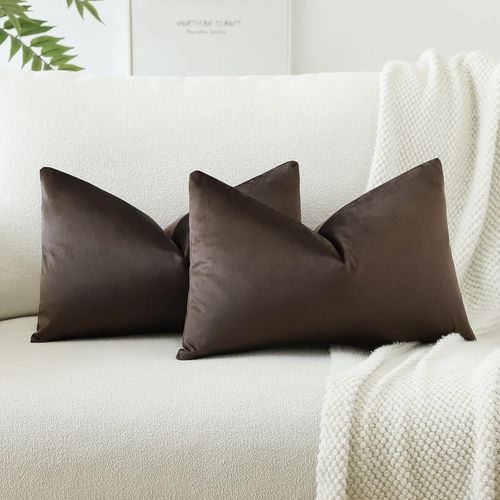 Eryi-Lot De 2 Housses De Coussins En Velours Décoratif Canapé Taie D'oreiller Doux Decoration Pour Maison Salon Chambre Canapé Décoration 30x50cm (Brun Chocolat)