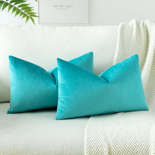 Eryi-Lot De 2 Housses De Coussins En Velours Décoratif Canapé Taie D'oreiller Doux Decoration Pour Maison Salon Chambre Canapé Décoration 30x50cm (Menthe)