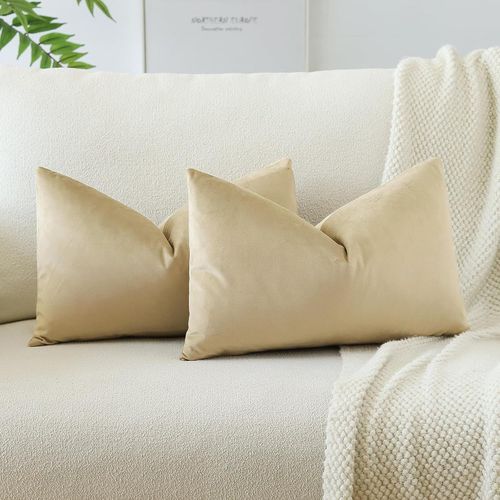 Eryi-Lot De 2 Housses De Coussins En Velours Décoratif Canapé Taie D'oreiller Doux Decoration Pour Maison Salon Chambre Canapé Décoration 40x60cm (Kaki)